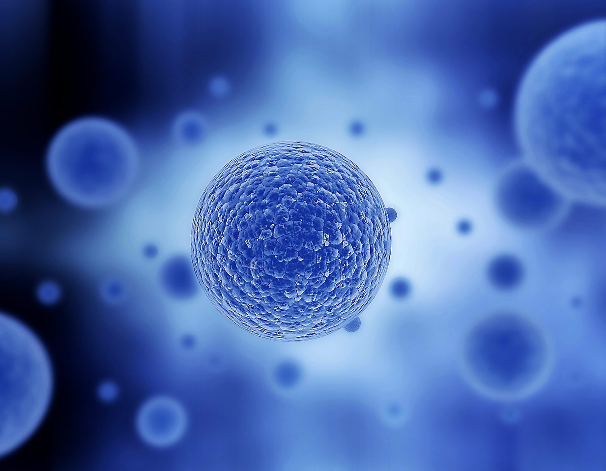  células madre autólogas