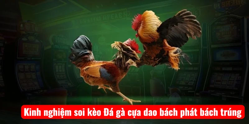 Kinh nghiệm soi kèo Đá gà cựa dao bách phát bách trúng
